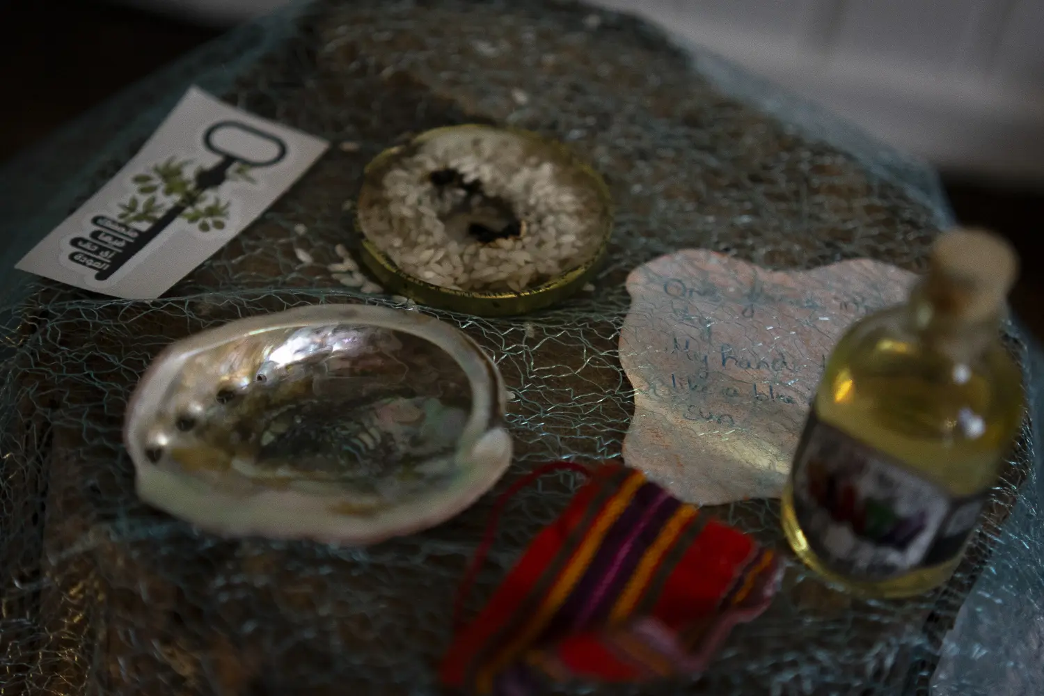 BIPoC Climate Justice Conference 2025 - Others images - RRSS_BipocConference_2025-47